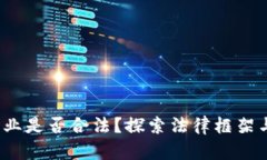 Web3创业是否合法？探索法律框架与合