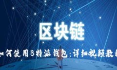 如何使用B特派钱包：详细视频教程