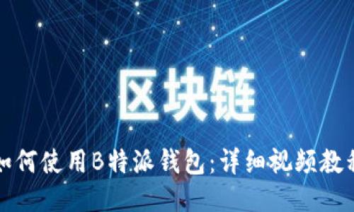 如何使用B特派钱包:详细视频教程