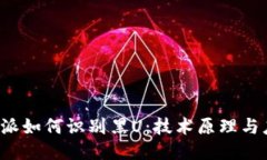 揭秘B特派如何识别黑U：技术原理与应