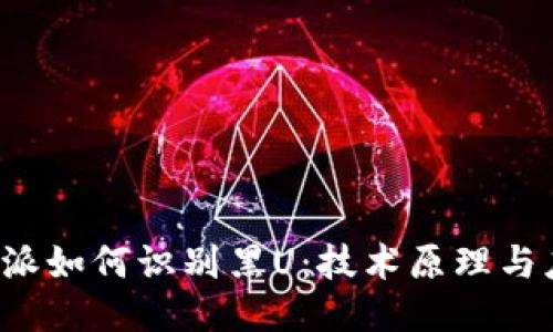揭秘B特派如何识别黑U:技术原理与应用案例