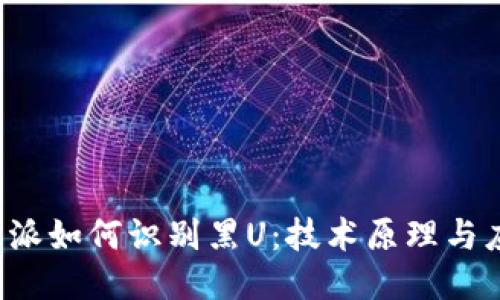 揭秘B特派如何识别黑U:技术原理与应用案例