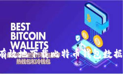 如何安全有效地下载比特币钱包数据：全面指南
