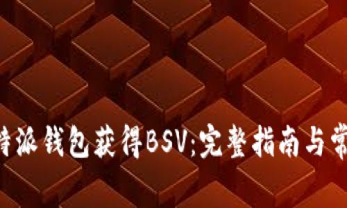 如何通过B特派钱包获得BSV:完整指南与常见问题解析