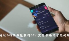 如何通过B特派钱包获得BSV：完整指南