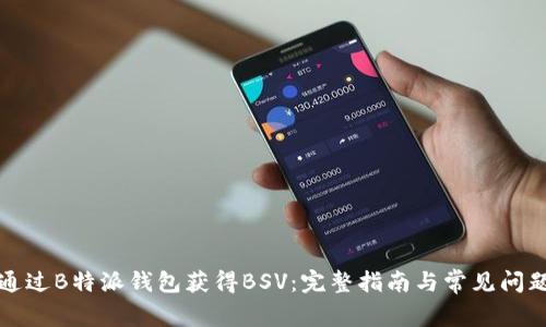 如何通过B特派钱包获得BSV:完整指南与常见问题解析