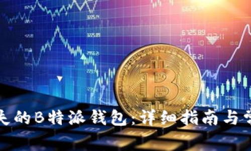 如何找回丢失的B特派钱包:详细指南与常见问题解答