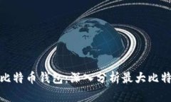 如何选择最适合你的比特币钱包：深入
