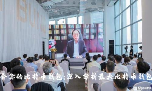 如何选择最适合你的比特币钱包：深入分析最大比特币钱包的优势与选择