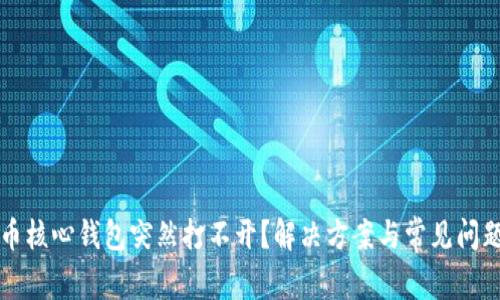 比特币核心钱包突然打不开?解决方案与常见问题解析