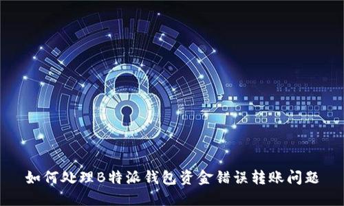 如何处理B特派钱包资金错误转账问题