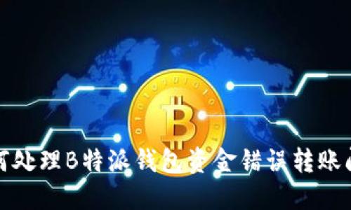 如何处理B特派钱包资金错误转账问题