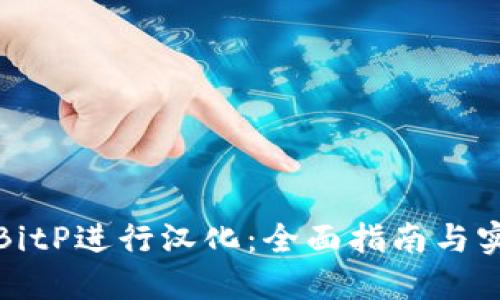 如何对BitP进行汉化：全面指南与实用技巧