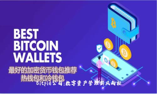 Bitpie公司:数字资产管理新风向标