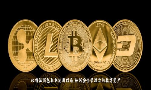 比特派钱包私钥使用指南:如何安全管理你的数字资产