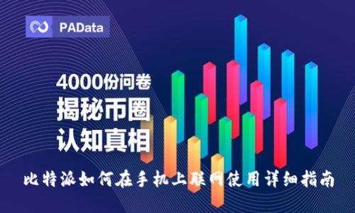 比特派如何在手机上联网使用详细指南