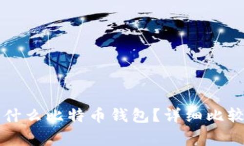 大家一般用什么比特币钱包？详细比较及选择指南