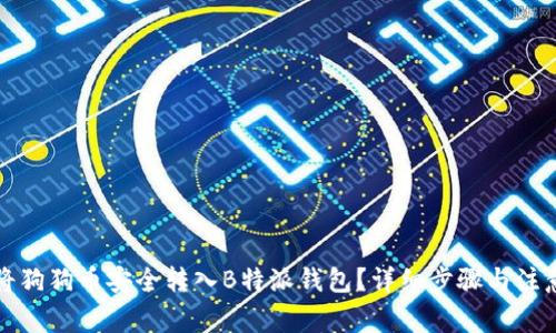 如何将狗狗币安全转入B特派钱包?详细步骤与注意事项
