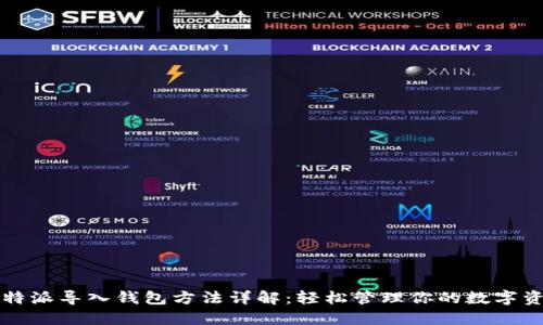 比特派导入钱包方法详解:轻松管理你的数字资产