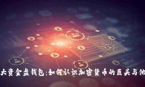 揭秘比特币最大资金盘钱包：如何认识加密货币的巨头与他们的财富影响
