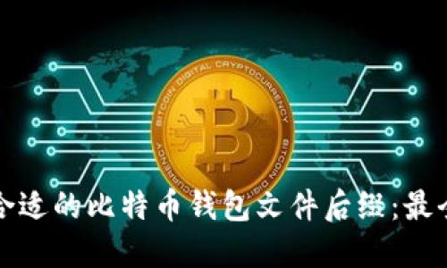 如何选择合适的比特币钱包文件后缀：最全面的指南