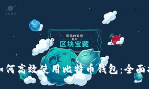 大陆用户如何高效使用比特币钱包：全面指南与技巧