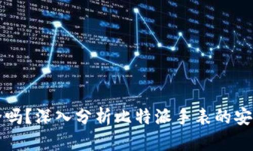 比特派手表安全吗？深入分析比特派手表的安全性和风险评估