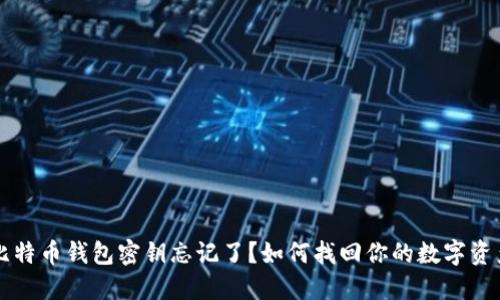 比特币钱包密钥忘记了?如何找回你的数字资产