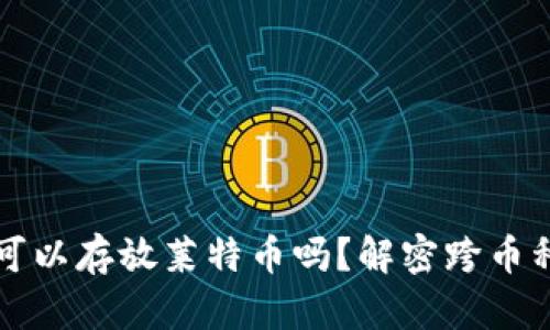 比特币钱包可以存放莱特币吗？解密跨币种钱包的真相