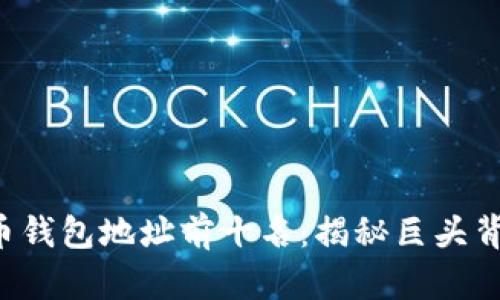 2023年比特币钱包地址前十名：揭秘巨头背后的财富积累