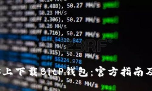 如何在iOS上下载BitP钱包:官方指南及下载技巧