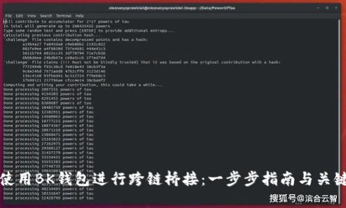 如何使用BK钱包进行跨链桥接:一步步指南与关键技巧