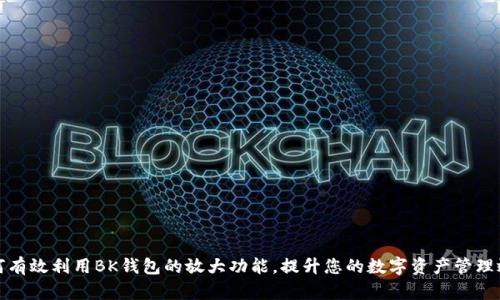 如何有效利用BK钱包的放大功能,提升您的数字资产管理效率