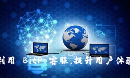 如何高效利用 BitP 客服，提升用户体验与满意度