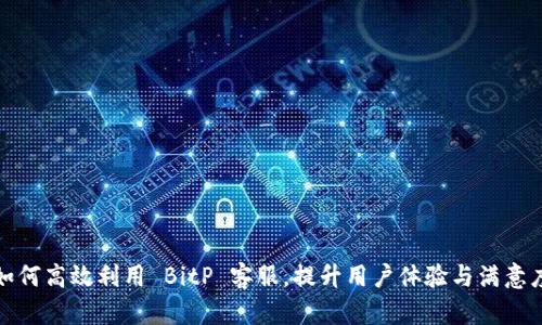 如何高效利用 BitP 客服，提升用户体验与满意度