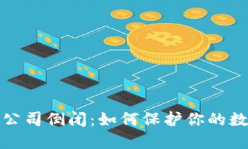 比特币钱包公司倒闭:如何保护你的数字资产安全