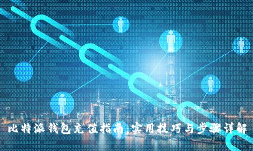 比特派钱包充值指南：实用技巧与步骤详解