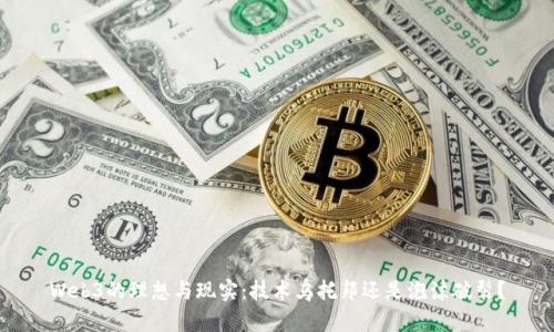Web3的理想与现实：技术乌托邦还是泡沫破裂？