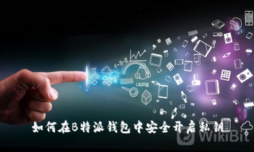 如何在B特派钱包中安全开启私钥