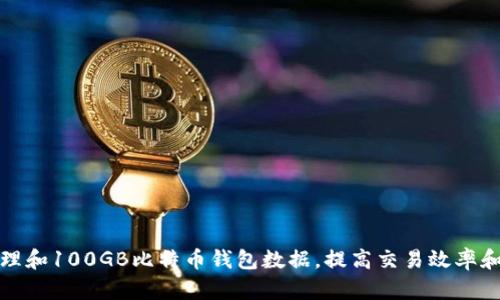 如何管理和100GB比特币钱包数据,提高交易效率和安全性