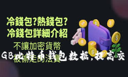 如何管理和100GB比特币钱包数据,提高交易效率和安全性