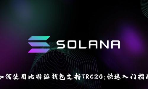 如何使用比特派钱包支持TRC20:快速入门指南
