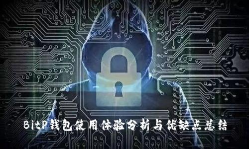BitP钱包使用体验分析与优缺点总结
