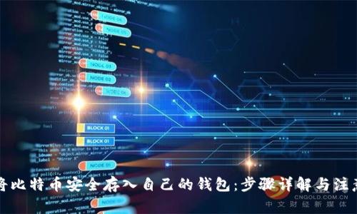 如何将比特币安全存入自己的钱包:步骤详解与注意事项
