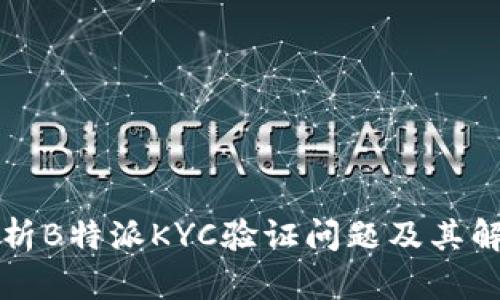 深入解析B特派KYC验证问题及其解决方案