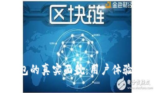 揭秘b特派钱包的真实面貌：用户体验与安全性分析