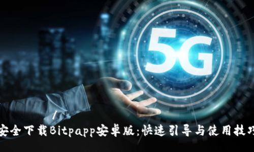 عرض /
安全下载Bitpapp安卓版:快速引导与使用技巧