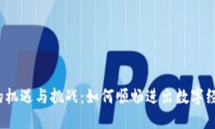 Web3时代的机遇与挑战：如何顺畅进出