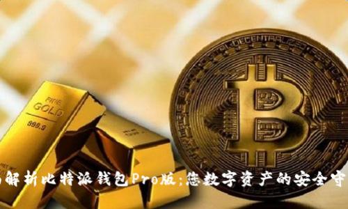 全面解析比特派钱包Pro版：您数字资产的安全守护者