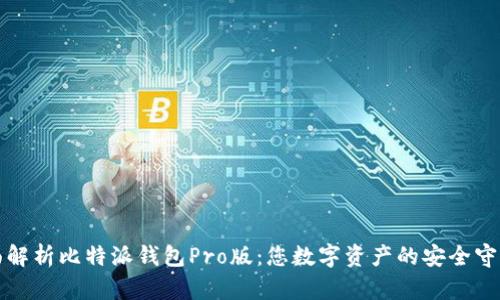 全面解析比特派钱包Pro版：您数字资产的安全守护者